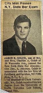 Aaron Richard Golub Net Worth