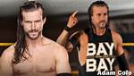 Adam Cole Net Worth