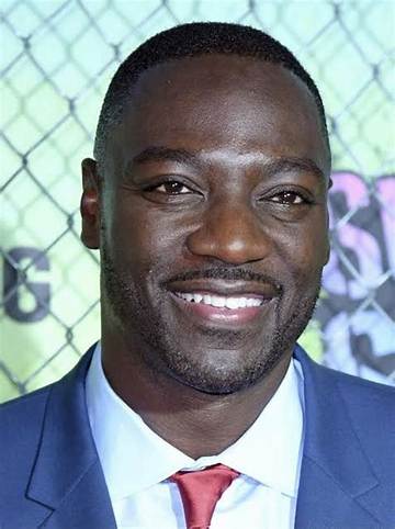 Adewale Akinnuoye-Agbaje Net Worth