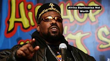 Afrika Bambaataa Net Worth