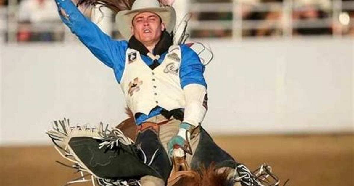 Aily Roper Net Worth
