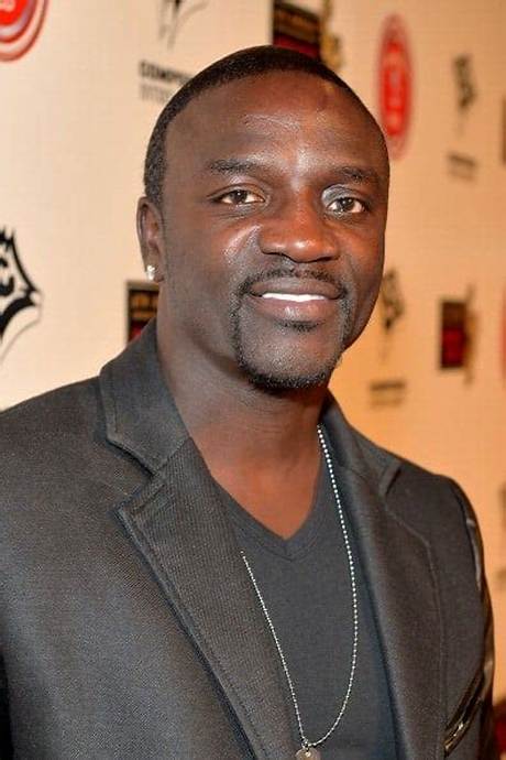 Akon Net Worth