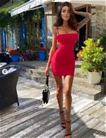 Alena Cihalikova Net Worth