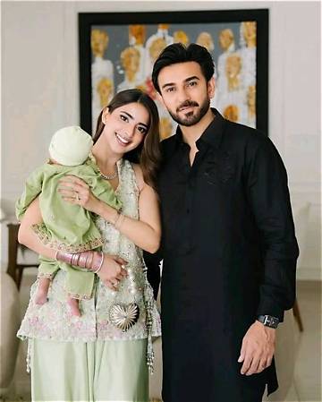 Ali Ansari Net Worth