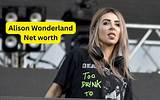 Alison Wonderland Net Worth