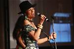 Amel Larrieux Net Worth