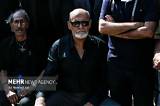 Amin Tarokh Net Worth