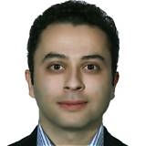 Amirhossein Fathi Net Worth