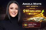 Angela Perzow Net Worth