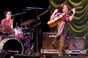 Ani Difranco Net Worth