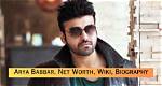 Arya Babbar Net Worth