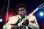 B. B. King Net Worth