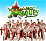 Banda Maguey Net Worth