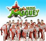 Banda Maguey Net Worth