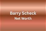 Barry Scheck Net Worth