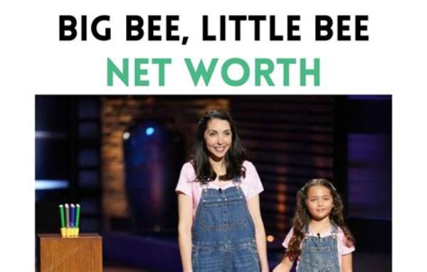 Bee Sedway Net Worth