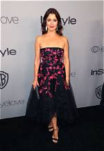 Bellamy Young Net Worth