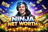 Benny Ninja Net Worth