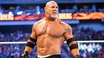 Bill Goldberg Net Worth