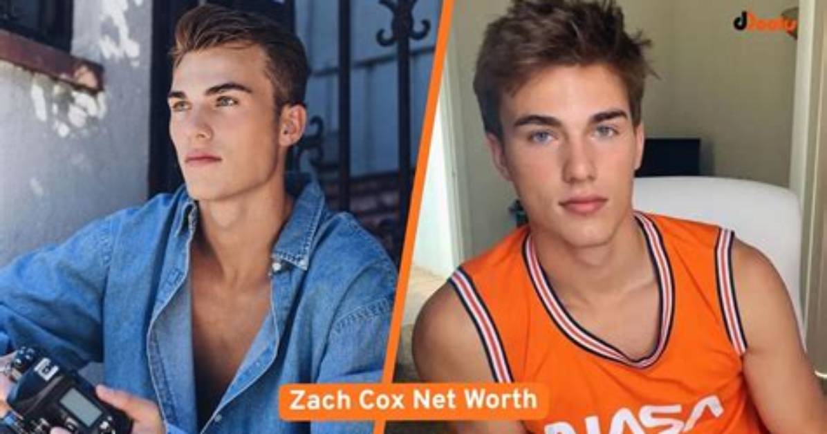 Bradford Cox Net Worth