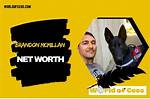 Brandon Mcmillan Net Worth