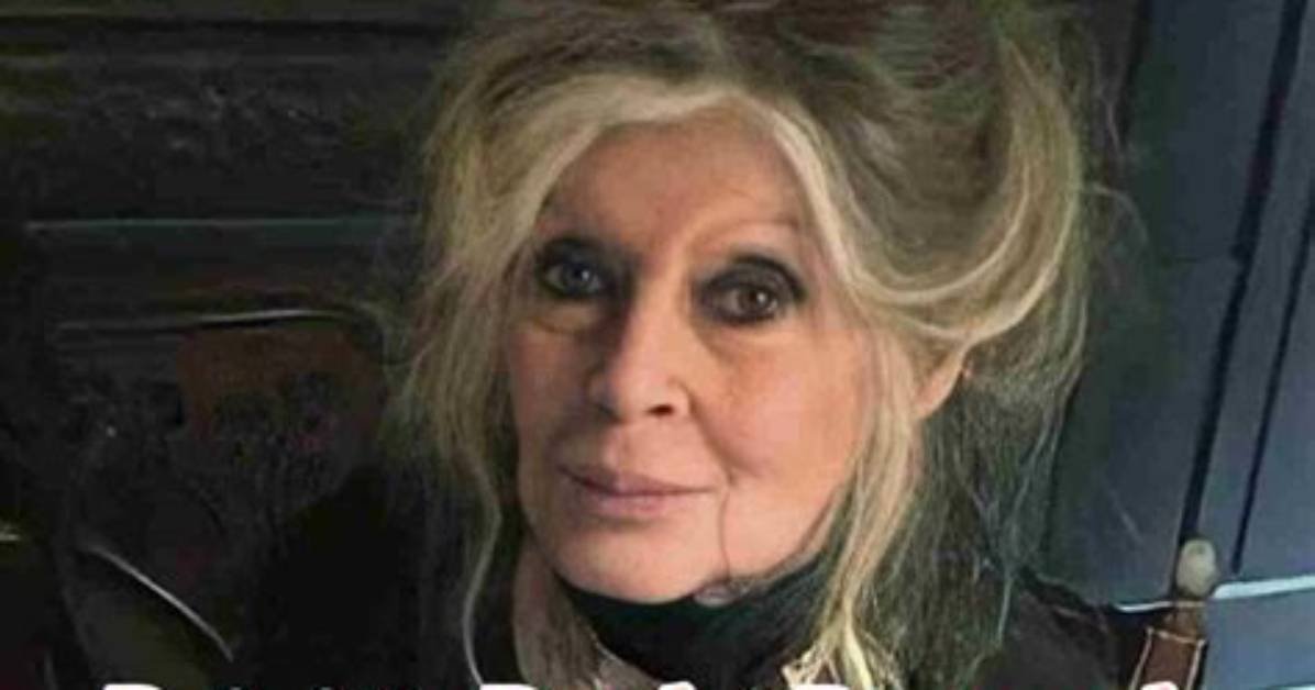 Brigitte the Dog Net Worth