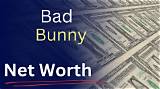 Bunny Love Net Worth