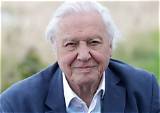 Charlotte Attenborough Net Worth
