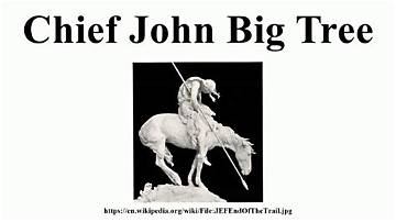 Chief John Big Tree Net Worth