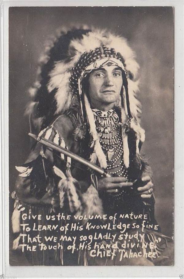 Chief Tahachee Net Worth