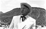 Chill Wills Net Worth