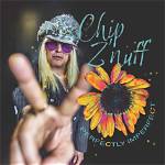 Chip Z’nuff Net Worth
