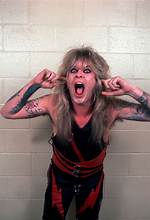 Chris Holmes Net Worth