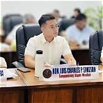 Christian Luis Singson Net Worth