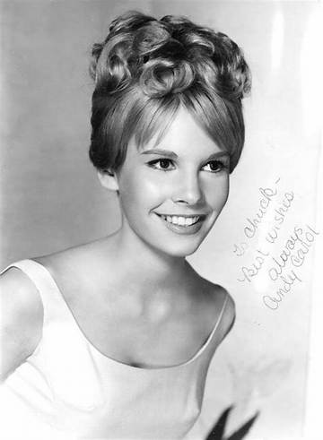 Cindy Carol Net Worth
