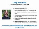 Cody Ross Pitts Net Worth