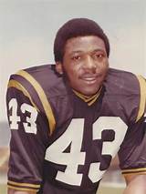 Darryl Stingley Net Worth