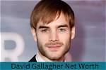 David Drew Gallagher Net Worth