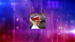 David Eckstein Net Worth