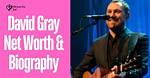 David Gray Net Worth