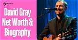 David Gray Net Worth