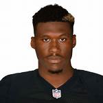 David Irving Net Worth