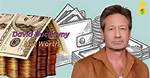 David M. Barsky Net Worth