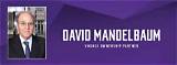 David Mandelbaum Net Worth