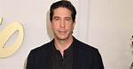 David Schwimmer Net Worth