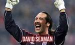 David Seaman Net Worth