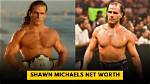 David Shawn Michaels Net Worth