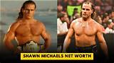David Shawn Michaels Net Worth