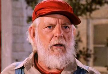 Denver Pyle Net Worth