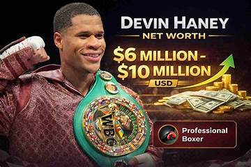 Devin Kamin Net Worth